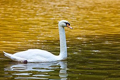 Steam VR游戏节7月19日举行 预计将有特卖活动